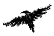 Black raven. Ink crow.