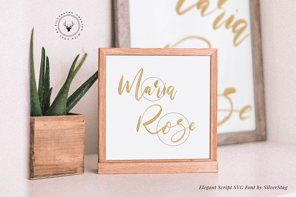 Maria Rose Elegant Script SVG Font in Elegant Fonts - product preview 4