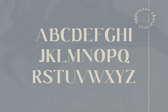 Gaskin | Wedge Serif in Serif Fonts - product preview 2