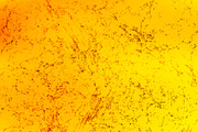 Orange and yellow grunge texture