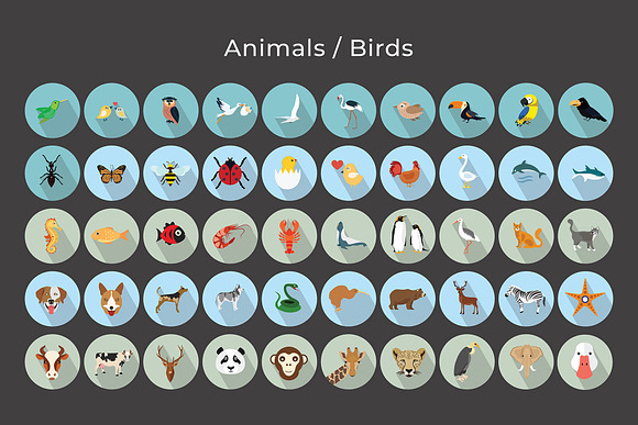 Animals - Birds Vector Icons V2 in Animal Icons - product preview 4