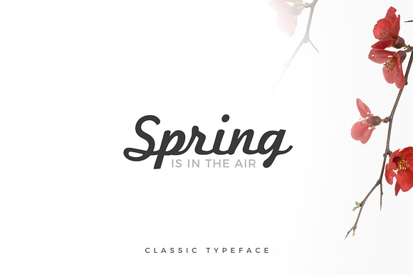 Mystical Font Bundle - Free Updates! in Display Fonts - product preview 22