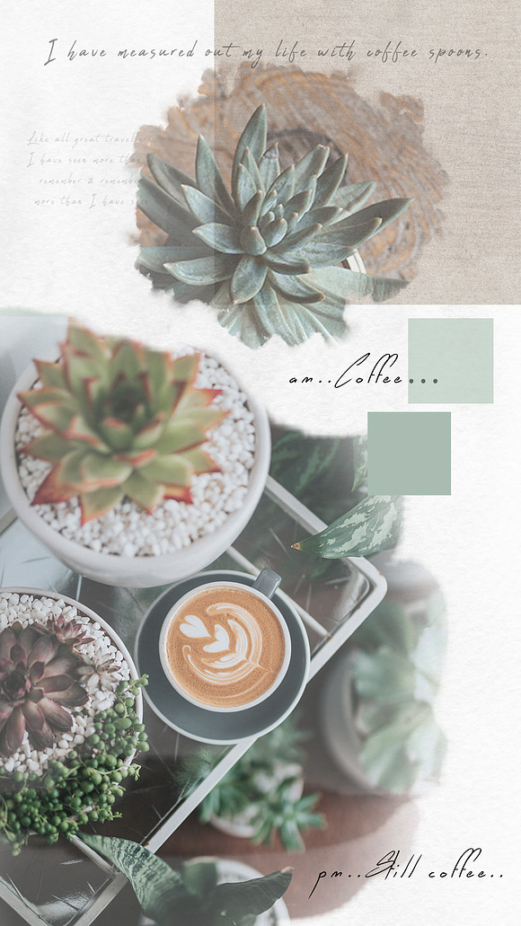 Insta Stories | Coffee & Succulents in Instagram Templates - product preview 4
