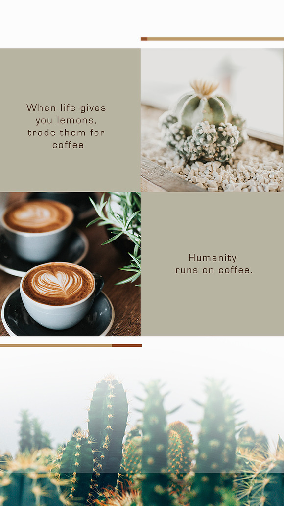 Insta Stories | Coffee & Succulents in Instagram Templates - product preview 6