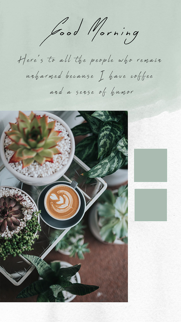 Insta Stories | Coffee & Succulents in Instagram Templates - product preview 7