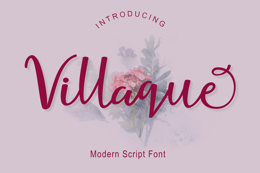 Villaque Script in Script Fonts - product preview 8