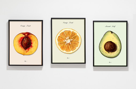 Vintage Fruit Illustrations in Illustrations - product preview 9