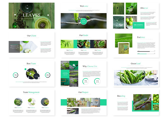 Leaves - Keynote Template in Keynote Templates - product preview 1