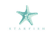 Blue Green Starfish Illustration