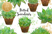 Succulent Potted Plant Clipart Set