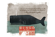 Bingo the Whale Illustration