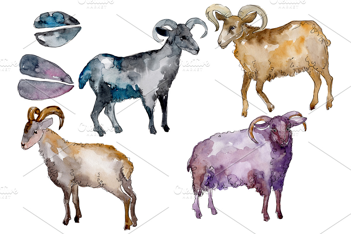 ﻿﻿Farm animals: Ram Watercolor png in Illustrations - product preview 8