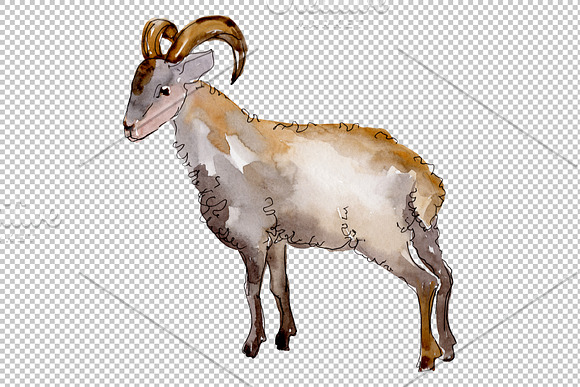 ﻿﻿Farm animals: Ram Watercolor png in Illustrations - product preview 1