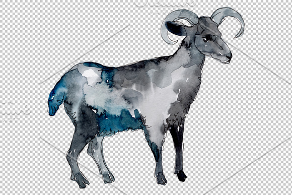 ﻿﻿Farm animals: Ram Watercolor png in Illustrations - product preview 2