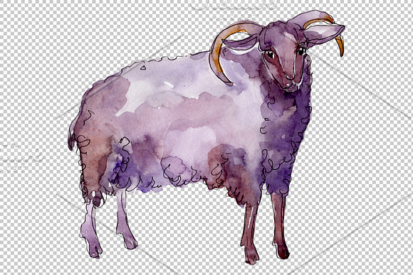 ﻿﻿Farm animals: Ram Watercolor png in Illustrations - product preview 4
