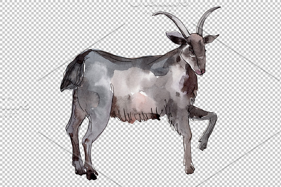 Farm animals:Goat Watercolor png in Illustrations - product preview 1
