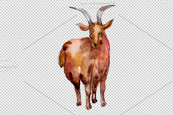 Farm animals:Goat Watercolor png in Illustrations - product preview 2