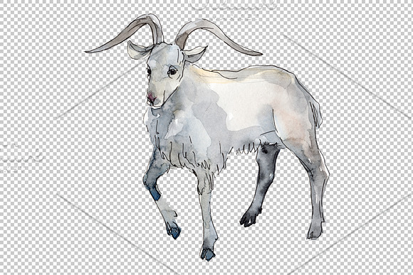 Farm animals:Goat Watercolor png in Illustrations - product preview 3
