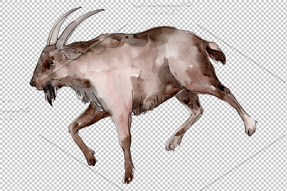 Farm animals:Goat Watercolor png in Illustrations - product preview 4