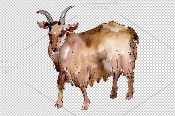 Farm animals:Goat Watercolor png in Illustrations - product preview 5