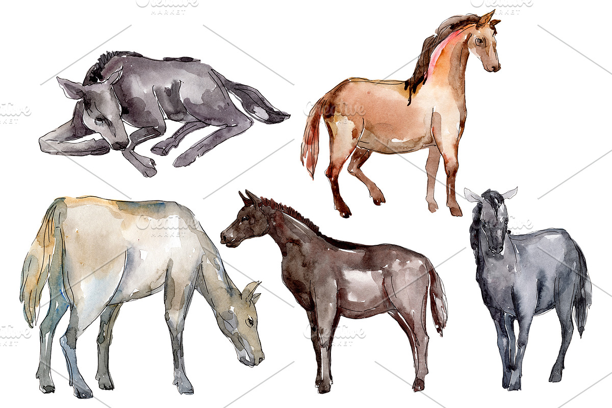 Farm animals:Horse,foal Watercolor in Illustrations - product preview 8