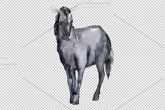 Farm animals:Horse,foal Watercolor in Illustrations - product preview 1