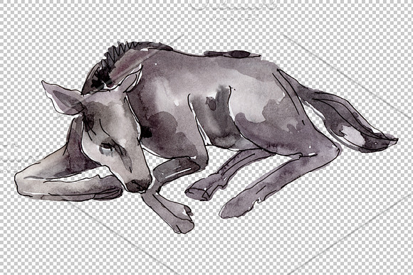 Farm animals:Horse,foal Watercolor in Illustrations - product preview 3
