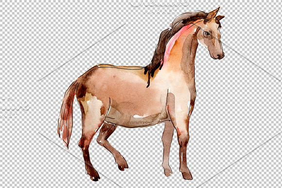 Farm animals:Horse,foal Watercolor in Illustrations - product preview 4