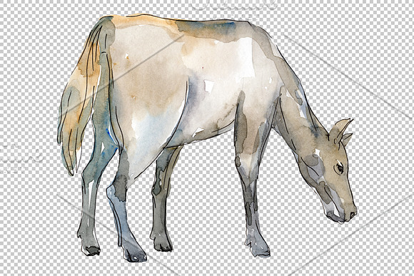 Farm animals:Horse,foal Watercolor in Illustrations - product preview 5