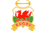 rugby ball wales red welsh dragon