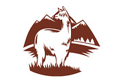suri alpaca with mountains