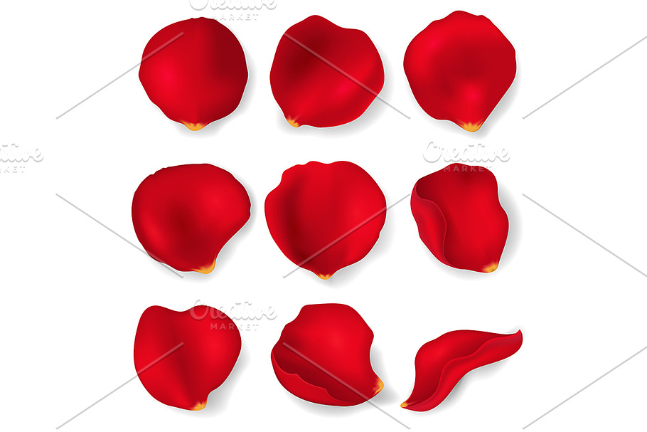 Realistic 3d Rose Petals Set. Vector in Objects - product preview 8