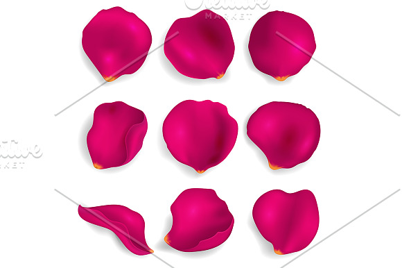 Realistic 3d Rose Petals Set. Vector in Objects - product preview 2