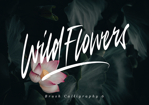 Procreate Brush Calligraphy 25% OFF in Photoshop Brushes - product preview 5