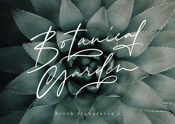 Procreate Brush Calligraphy 25% OFF in Photoshop Brushes - product preview 18
