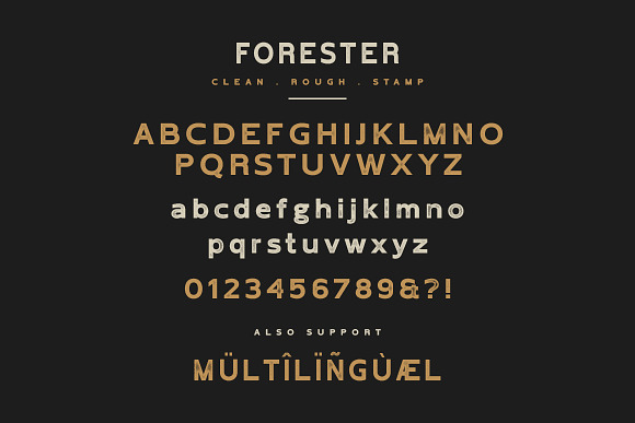 Forester Vintage Sans Serif in Sans-Serif Fonts - product preview 4