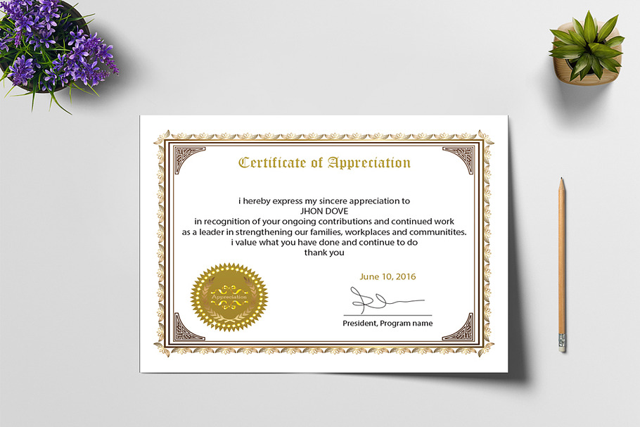 Appreciation Certificate Design in Stationery Templates - product preview 8