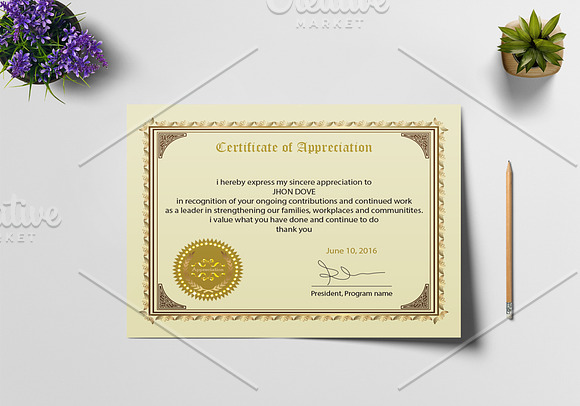 Appreciation Certificate Design in Stationery Templates - product preview 1