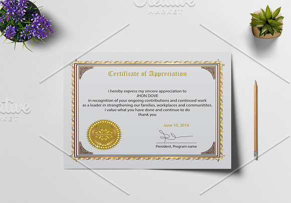 Appreciation Certificate Design in Stationery Templates - product preview 2