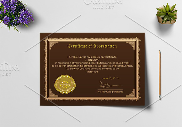 Appreciation Certificate Design in Stationery Templates - product preview 3