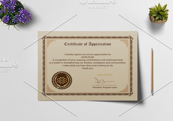 Appreciation Certificate Design in Stationery Templates - product preview 4