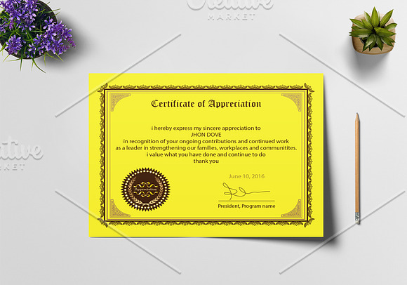 Appreciation Certificate Design in Stationery Templates - product preview 5