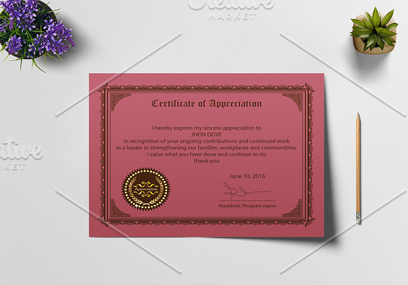 Appreciation Certificate Design in Stationery Templates - product preview 6