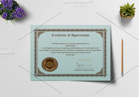 Appreciation Certificate Design in Stationery Templates - product preview 7
