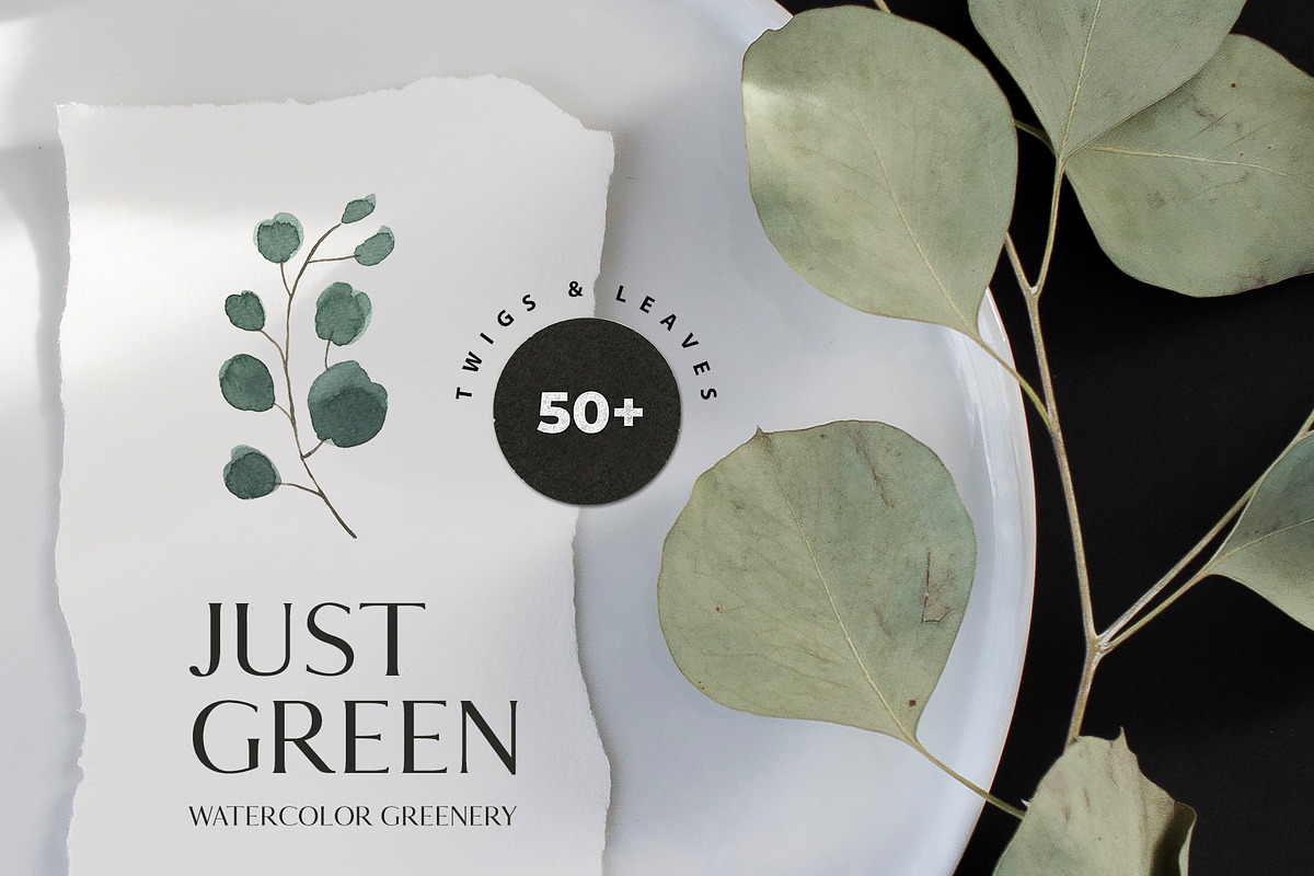 JUST GREEN leaves greenery foliage in Illustrations - product preview 8