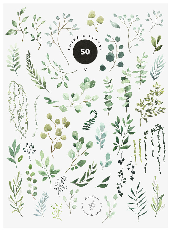 JUST GREEN leaves greenery foliage in Illustrations - product preview 1