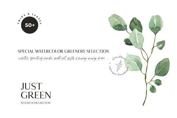 JUST GREEN leaves greenery foliage in Illustrations - product preview 5