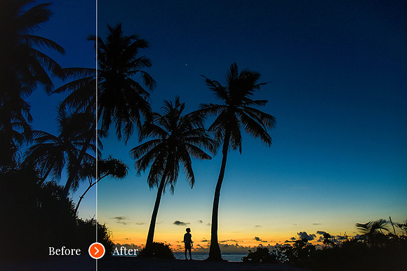 60 Natural Landscape Preset in Add-Ons - product preview 2