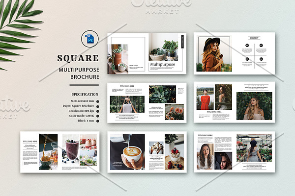 Multipurpose Square Brochure V872