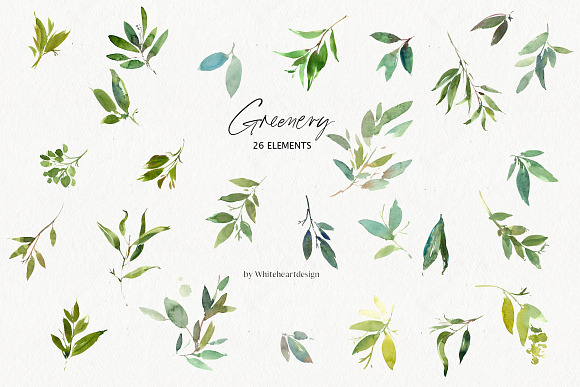 Greenery Watercolor Leaves Clipart in Illustrations - product preview 3